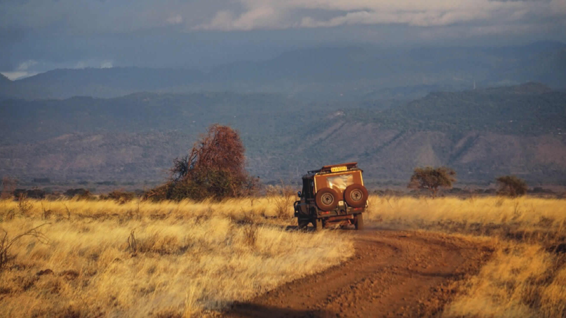 meru national park meru national park