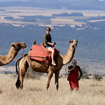 adventure safaris