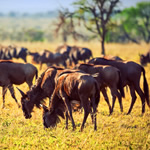top destinations kenya