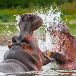top destinations uganda